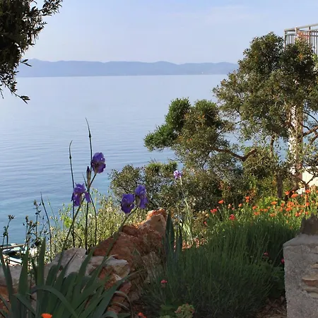 Secluded Fisherman's Cove Prisnjak, Hvar - 8763 بيت للعطل